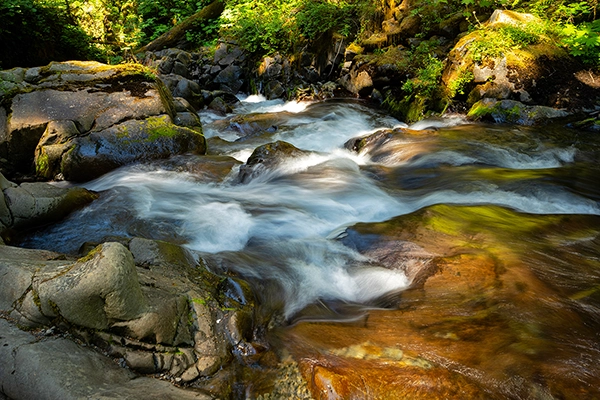 Rushing water over rocks