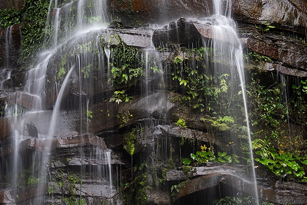 A peaceful waterfall cascading over dark rocks with ferns and foliage growing from the gaps, showcasing the possibilities of long time exposure photography.