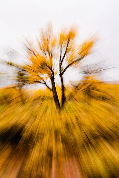 An abstract picture of a tree with yellow leaves using a long exposure technique to create a unique and dynamic radial pattern that achieves a sense of energy and movement.
