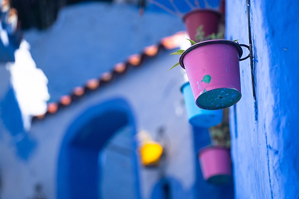 An example of macro lens photography showing colorful flower pots hanging on a vibrant blue wall.